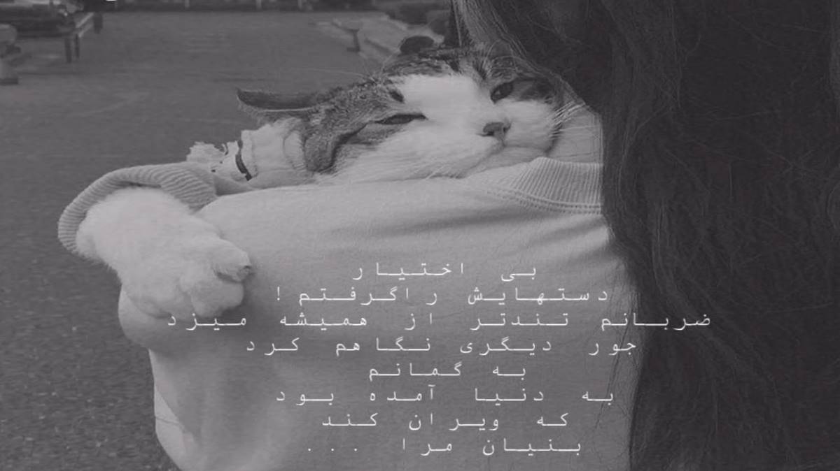 مال خودت مال چشات مسکن قلبم مراقبتم من